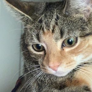 Meet your Posher, Haylie